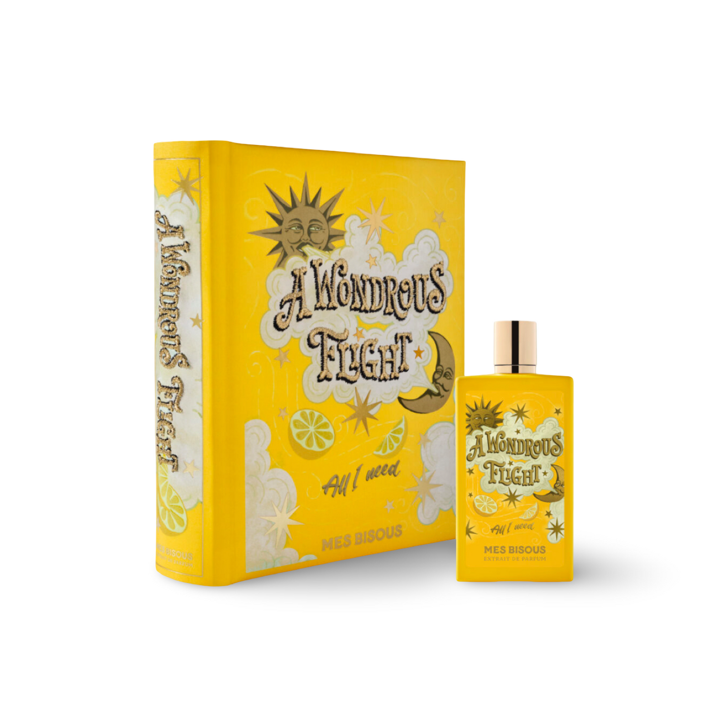 A Wondrous Flight by  Mes Bisous