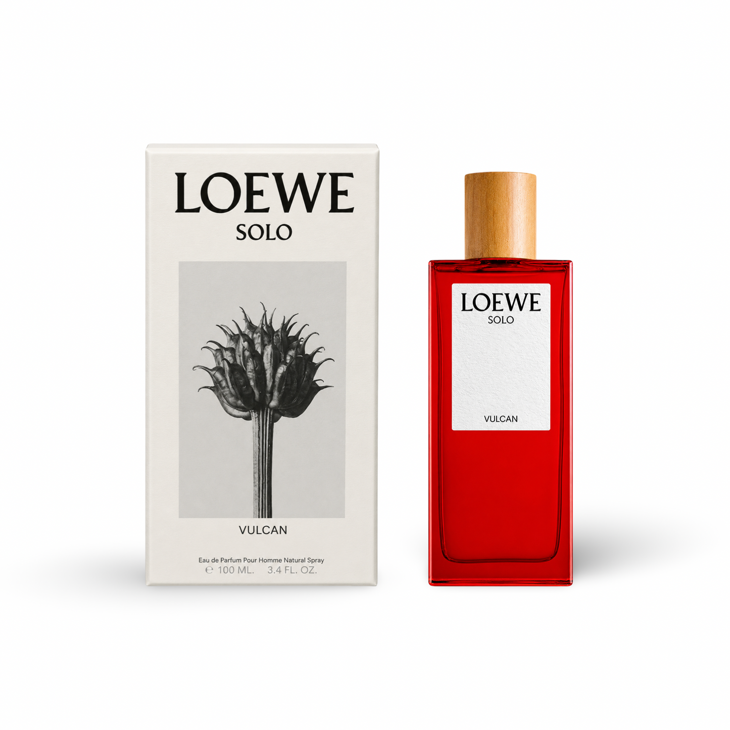 Solo Vulcan by Loewe for Men